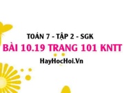 Bài 10.19 trang 101 Toán 7 Tập 2 Kết nối tri thức